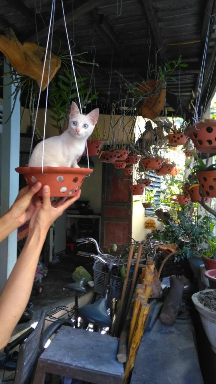 フエ ハッピー ホームステイ エクステリア 写真